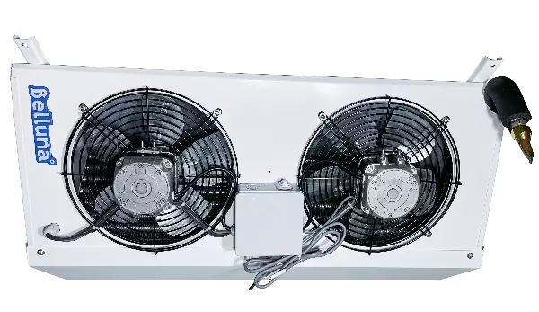 Belluna U103